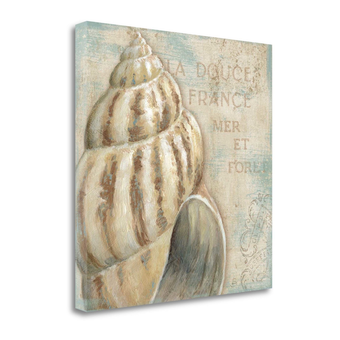 HomeRoots Rustic French Seashell 1 Giclee Wrap Canvas Wall Art