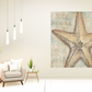 HomeRoots Rustic French Seashell 2 Giclee Wrap Canvas Wall Art