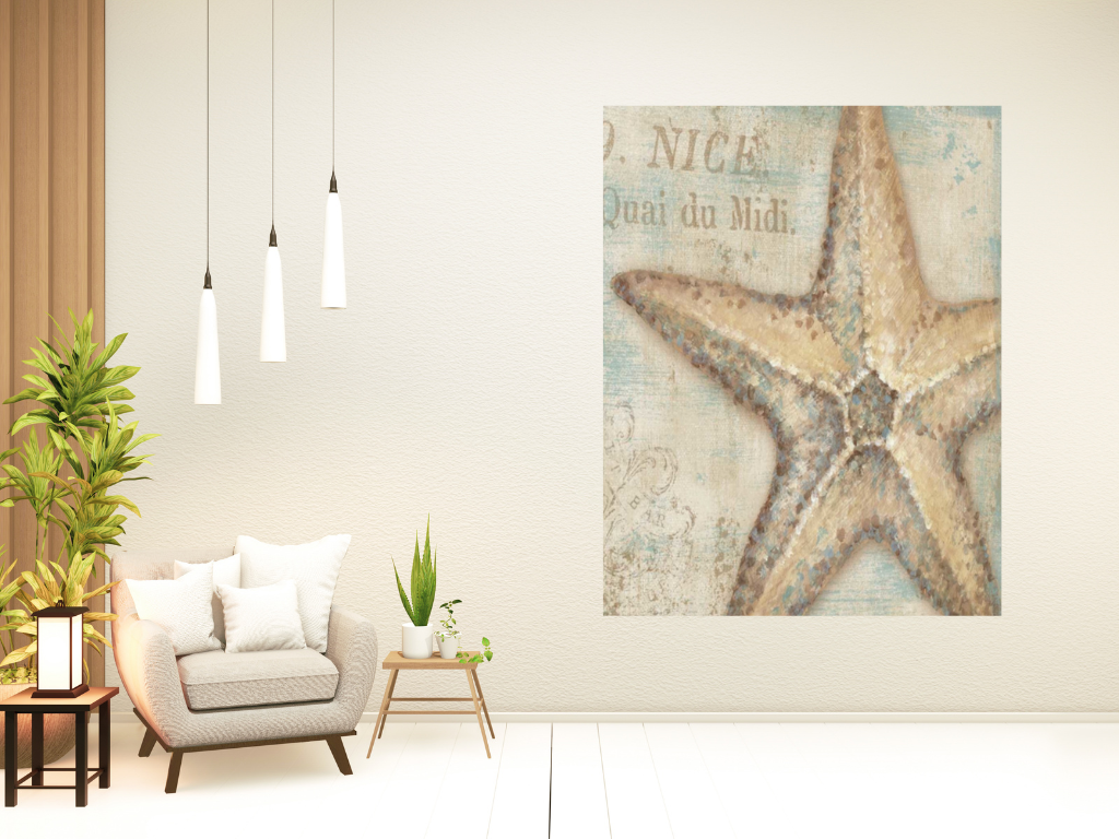 HomeRoots Rustic French Seashell 2 Giclee Wrap Canvas Wall Art