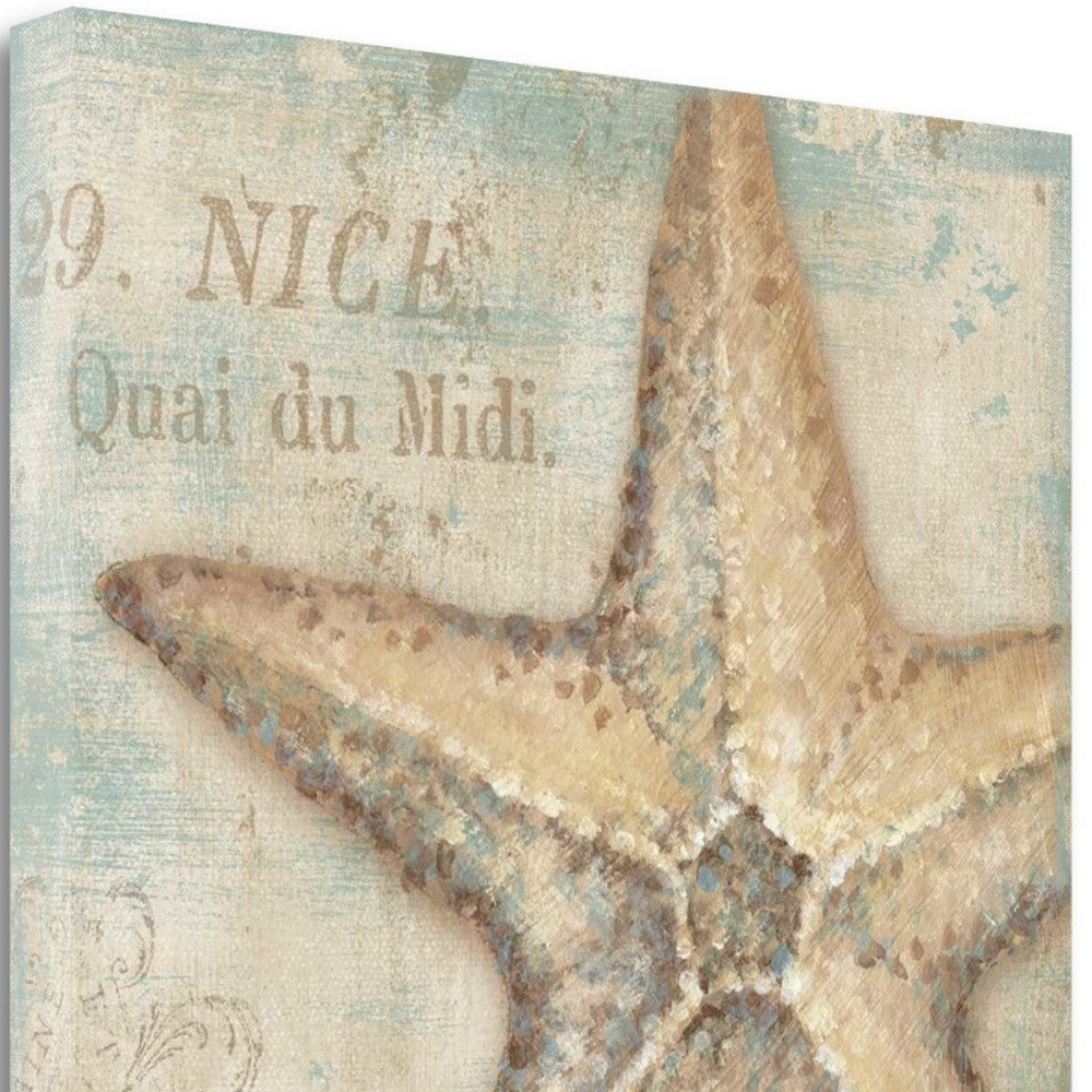 HomeRoots Rustic French Seashell 2 Giclee Wrap Canvas Wall Art