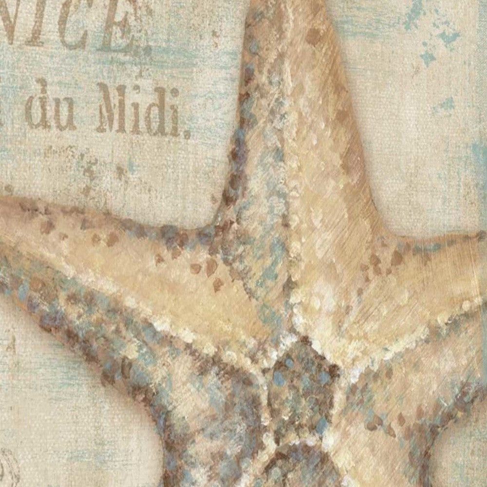 HomeRoots Rustic French Seashell 2 Giclee Wrap Canvas Wall Art