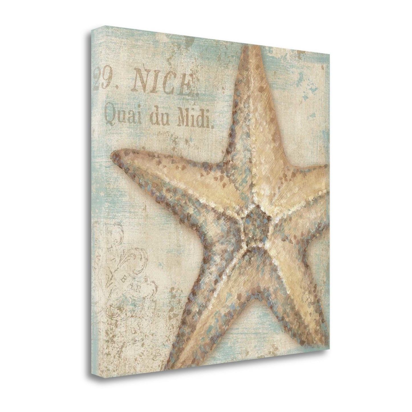HomeRoots Rustic French Seashell 2 Giclee Wrap Canvas Wall Art