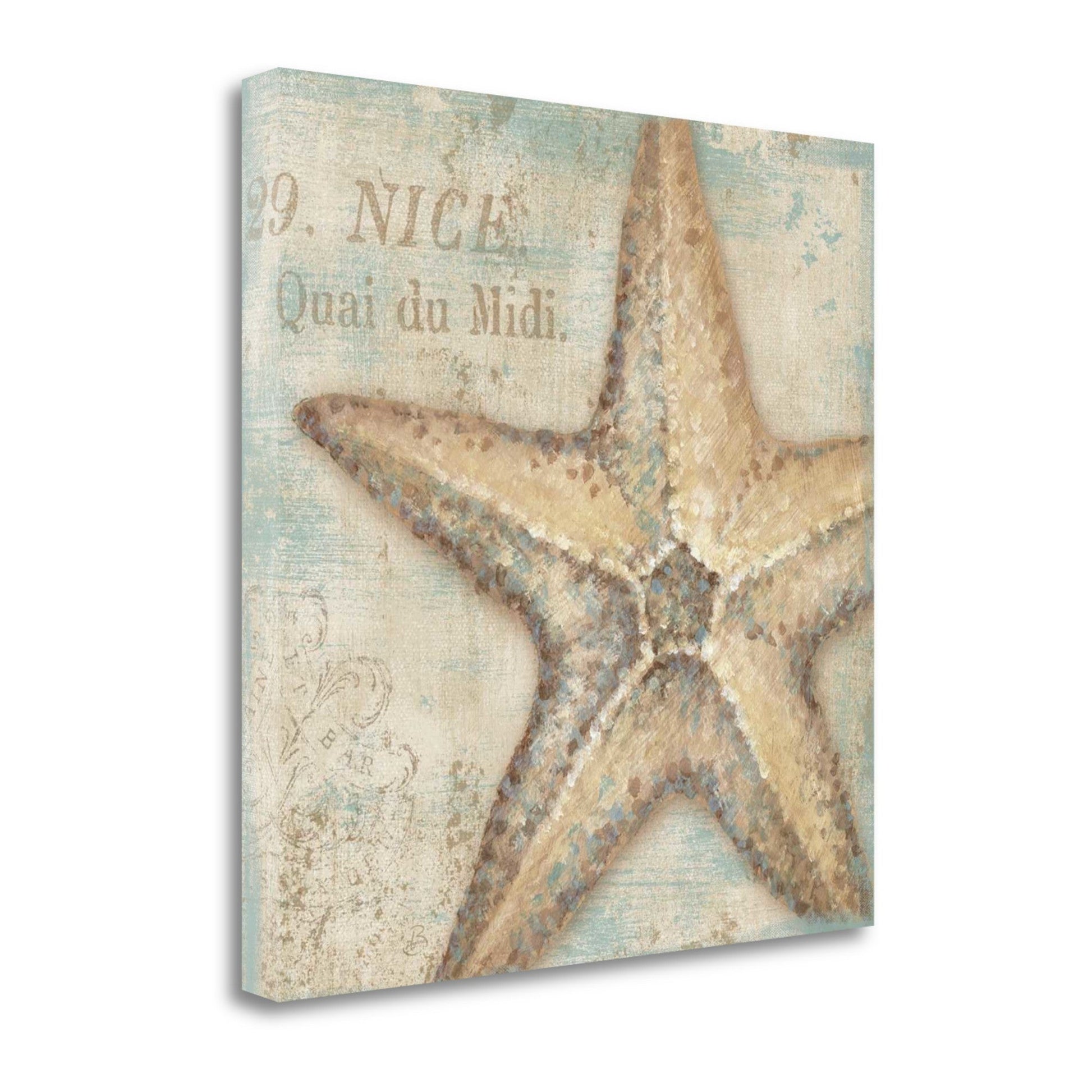 HomeRoots Rustic French Seashell 2 Giclee Wrap Canvas Wall Art