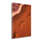 HomeRoots Sandy Footprints 2 Giclee Wrap Canvas Wall Art