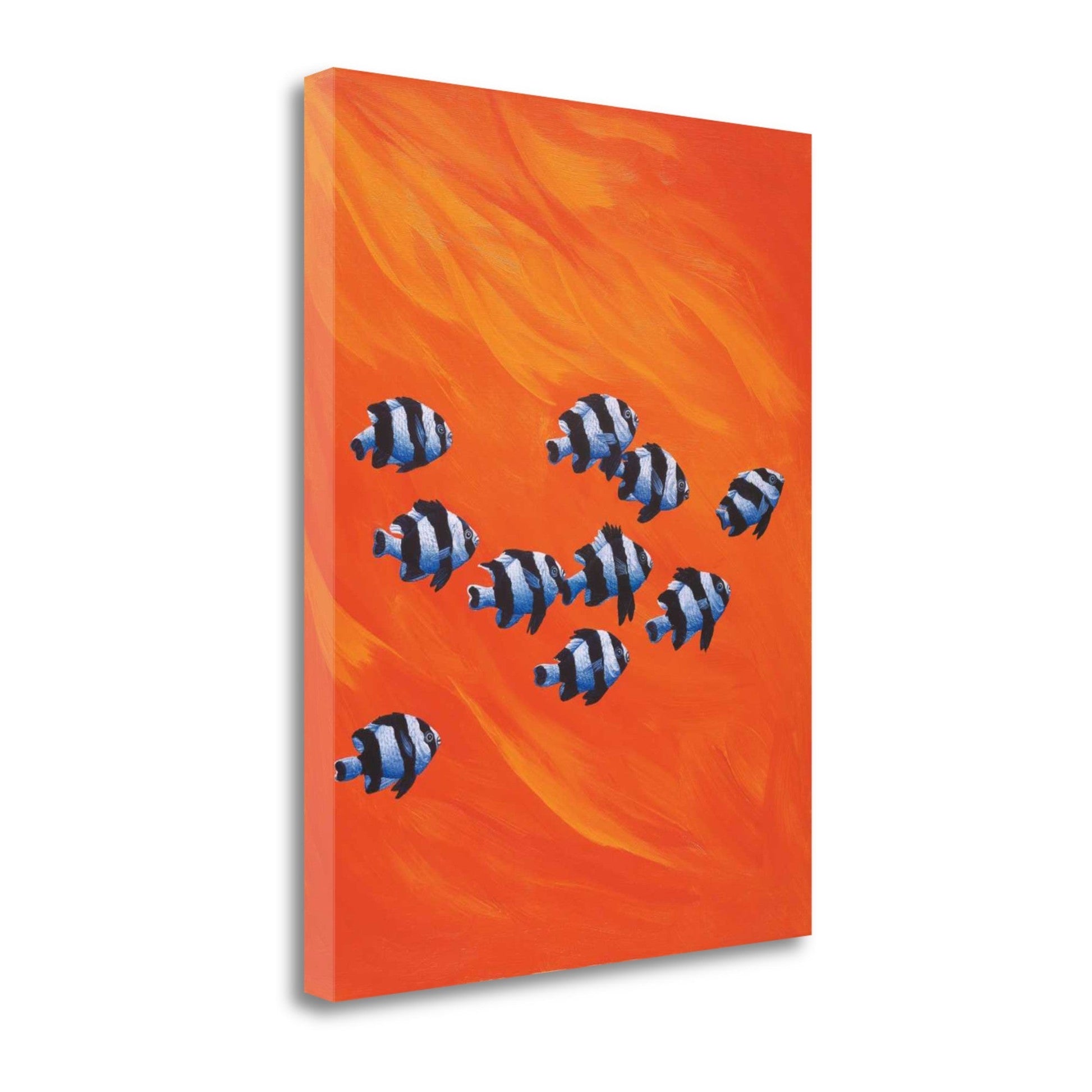 HomeRoots School of Clown Fish 2 Giclee Wrap Canvas Wall Art