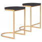 HomeRoots Set of 2 Gold And Black Counter Stools