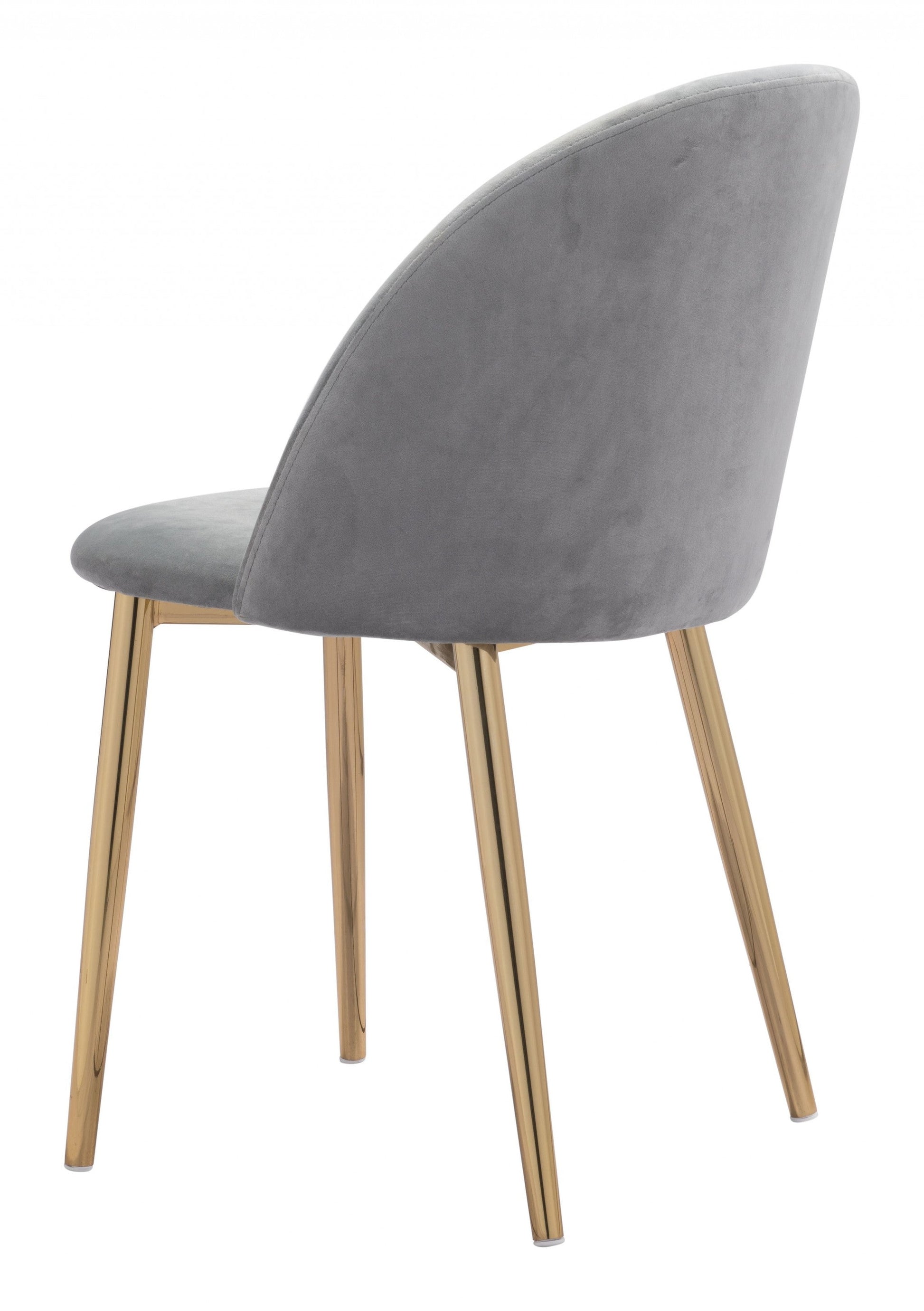 HomeRoots Set of 2 Pale Gray And Gold Modern Pringle Dining Chairs