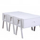 HomeRoots Sleek White Rectangular Convertible Coffee Table