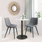 HomeRoots Steel Gray And Black Slight Scoop Dining Chairs in Set of 2