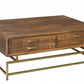 HomeRoots Storage Coffee Table in Brown and Gold Finish