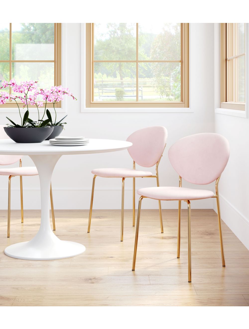 HomeRoots Stylish Pink Velvet And Gold Finish Dining or Accent Chairs in Set of 2