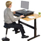 HomeRoots Tall Swivel Active Balance Chair in Black Finish