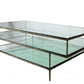 HomeRoots Triple Layered Coffee Table in Clear Glass Finish