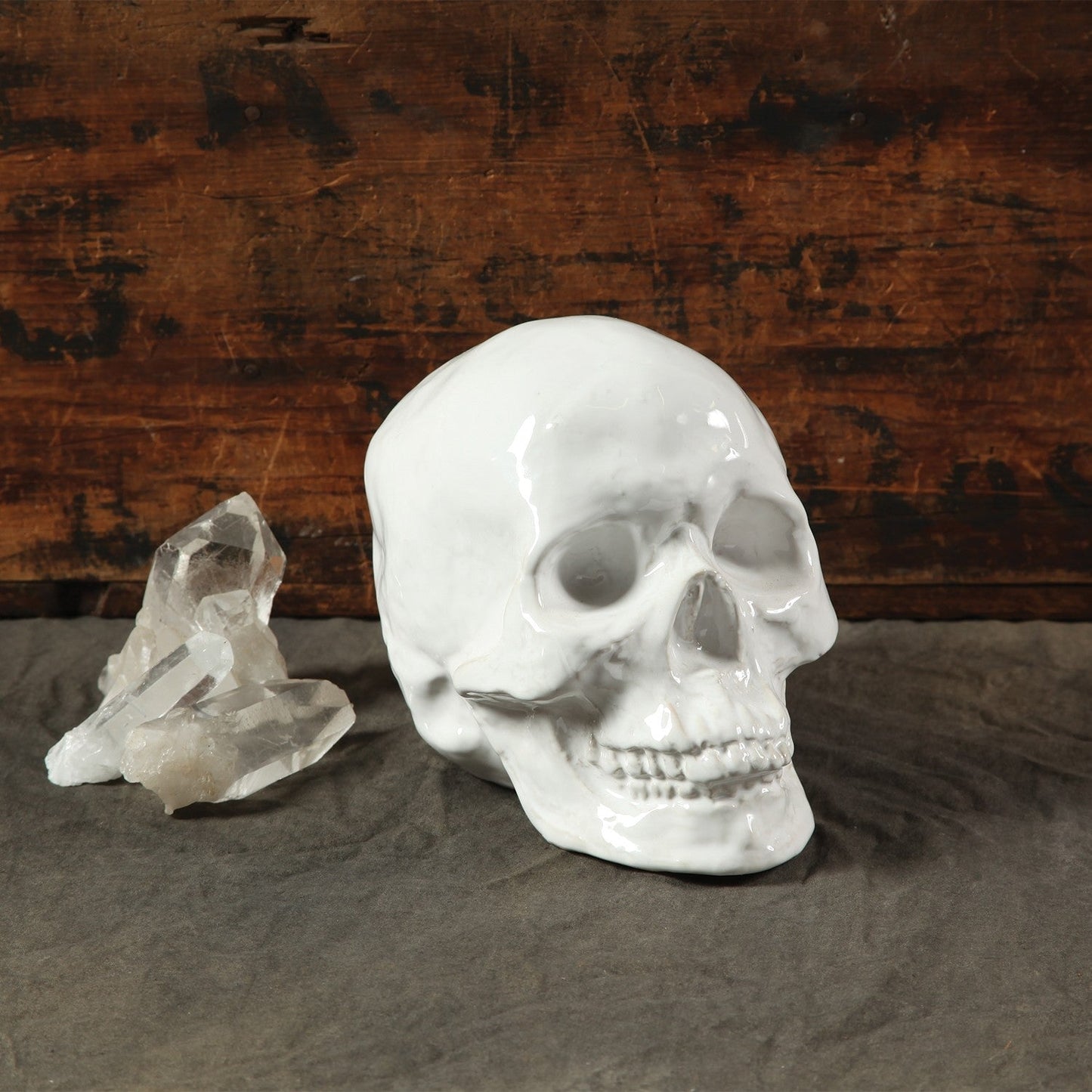HomeRoots White Ceramic Skull Sculpture