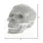 HomeRoots White Ceramic Skull Sculpture
