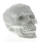 HomeRoots White Ceramic Skull Sculpture