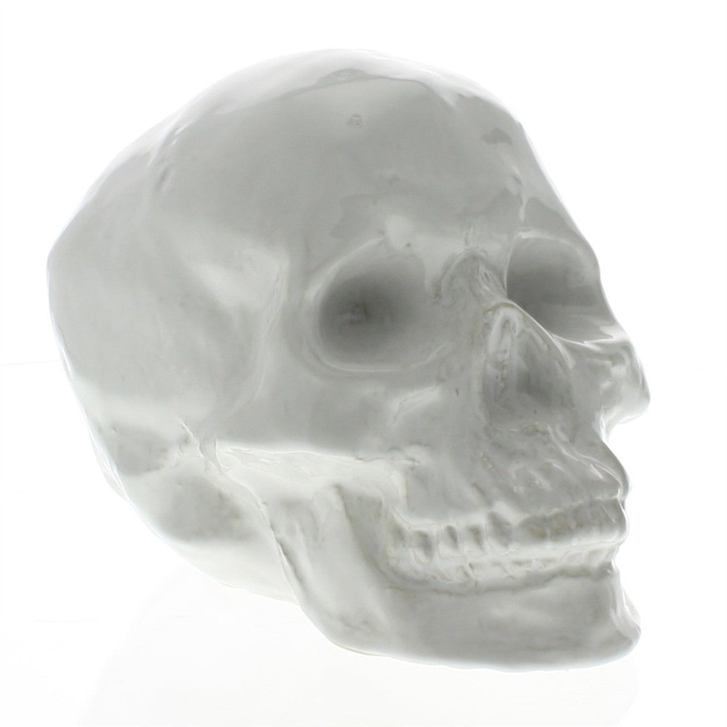 HomeRoots White Ceramic Skull Sculpture