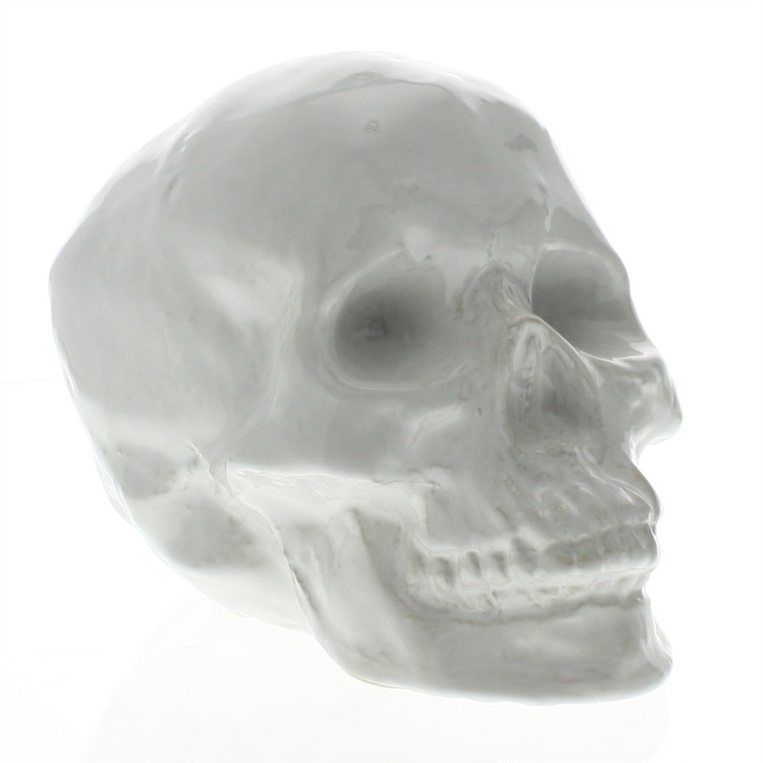 HomeRoots White Ceramic Skull Sculpture