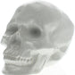 HomeRoots White Ceramic Skull Sculpture