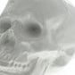 HomeRoots White Ceramic Skull Sculpture