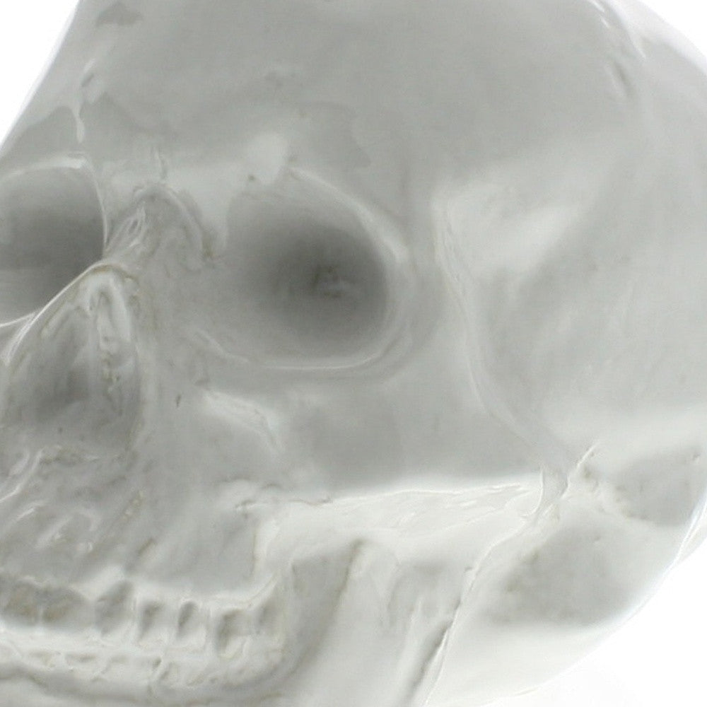 HomeRoots White Ceramic Skull Sculpture