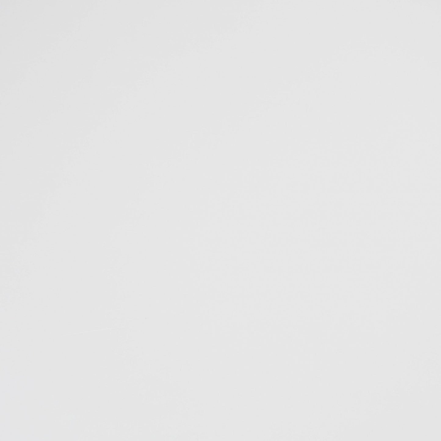 HomeRoots White Round Dining Table