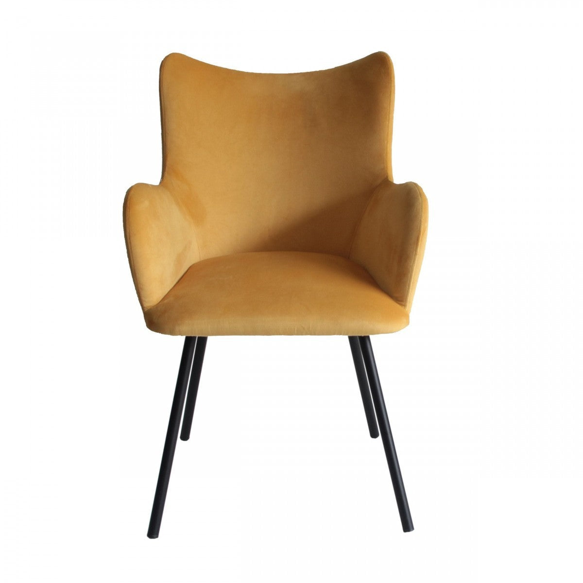 HomeRoots Yellow Curvy Velvet And Black Modern Dining Chair