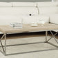 HomeRoots x Trestle Light Natural and Chrome Coffee Table