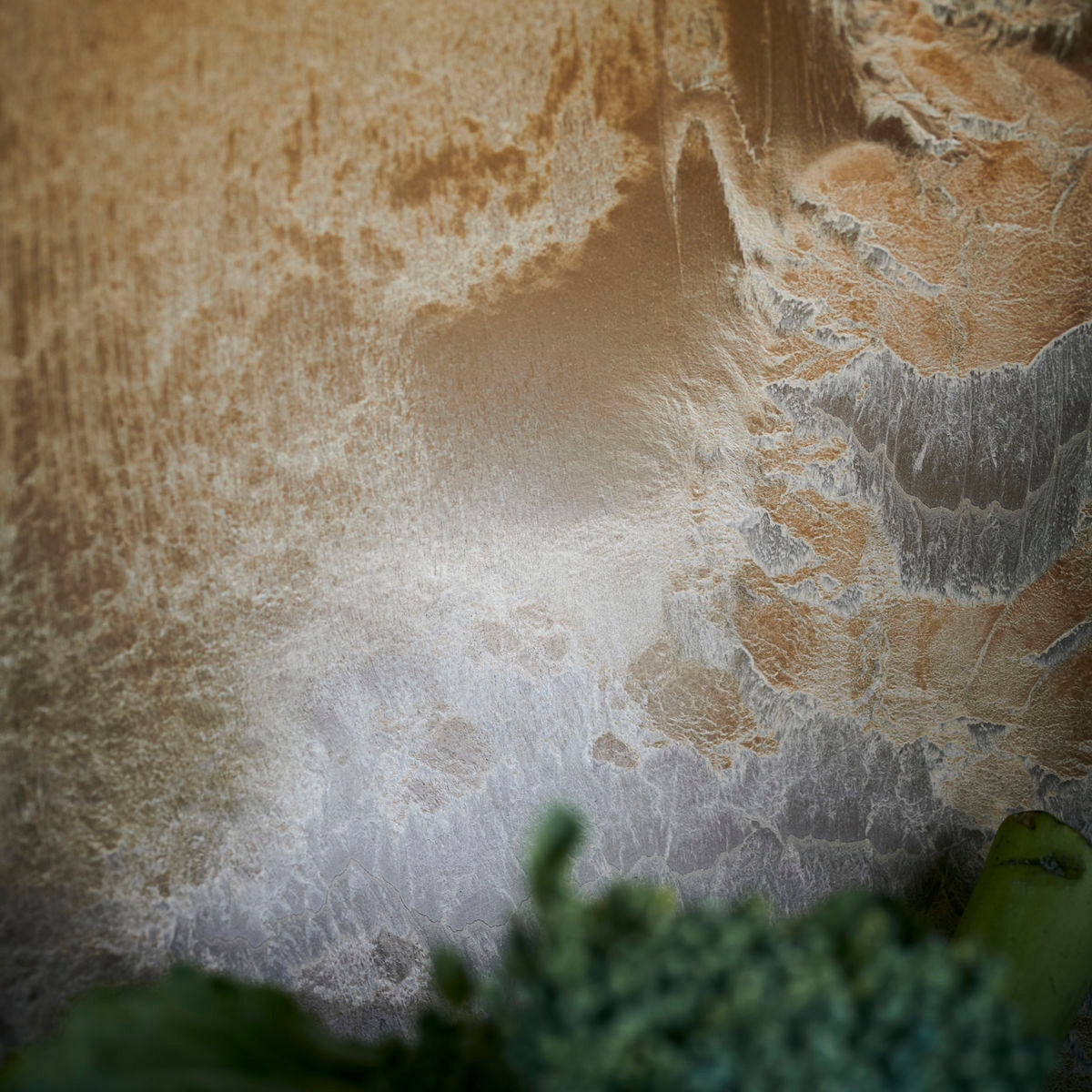 House Doctor Bowl, HD Serveur, Gold