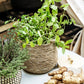 House Doctor Hang Basket With Natural Finish