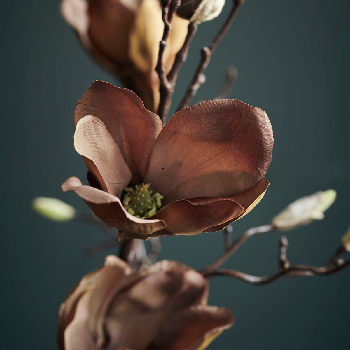 House Doctor Mangnolia Flower in Brown Finish