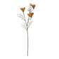 House Doctor Mangnolia Flower in Brown Finish
