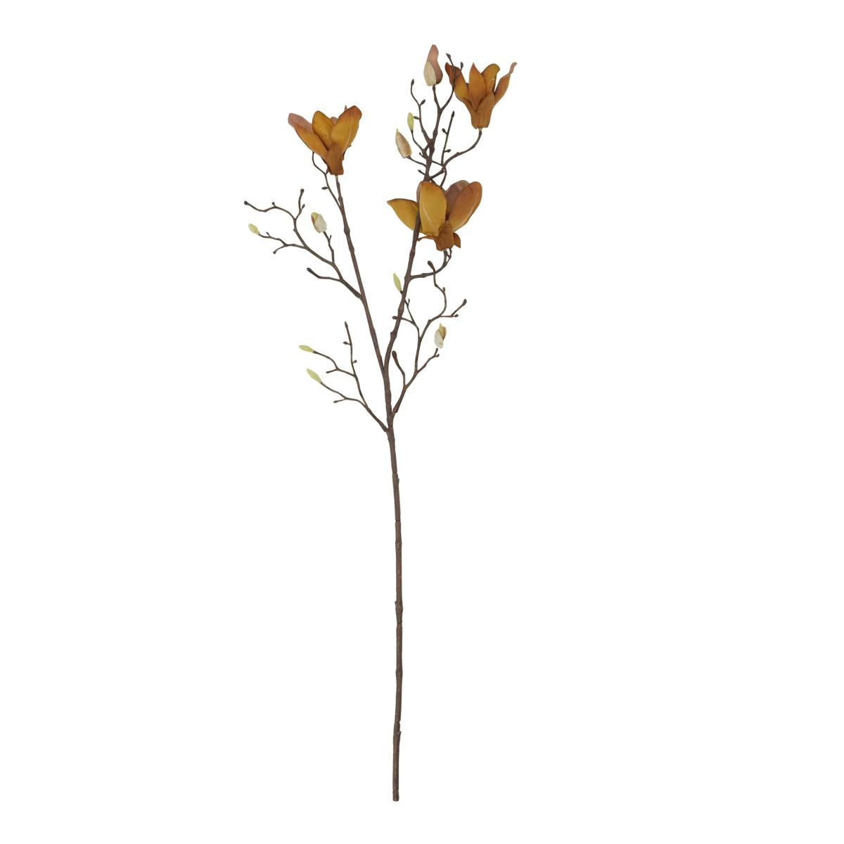 House Doctor Mangnolia Flower in Brown Finish