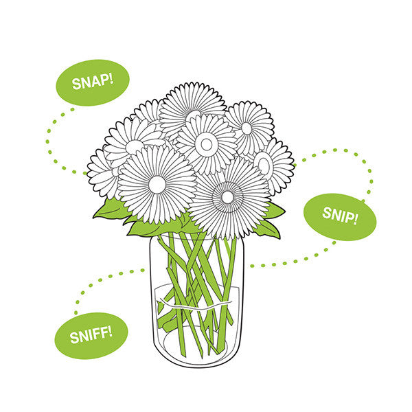 Jarware Flower Frog - (134 Pieces)