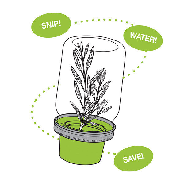 Jarware Herb Saver Lid - (58 Pieces)