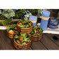Kalmar Home 4-piece Individual Salad Bowl