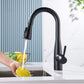 Kibi Bari Single Handle Pull Down Kitchen and Bar Sink Faucet in Matte Black Finish