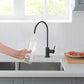 Kibi Circular Water Filtration Faucet in Matte Black Finish