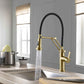 Kibi Engel Single Handle Pull Down Kitchen Faucet In Brushed Gold Finish