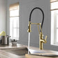 Kibi Engel Single Handle Pull Down Kitchen Faucet In Brushed Gold Finish