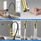 Kibi Engel Single Handle Pull Down Kitchen Faucet In Brushed Gold Finish