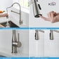 Kibi Largo Single Handle Pull Down Kitchen Faucet in Brushed Nickel Finish