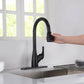 Kibi Single Handle Pull Down Kitchen Faucet In Oil Rubbed Bronze Finish