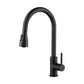 Kibi Value Single Handle Pull Down Kitchen Faucet In Matte Black Finish