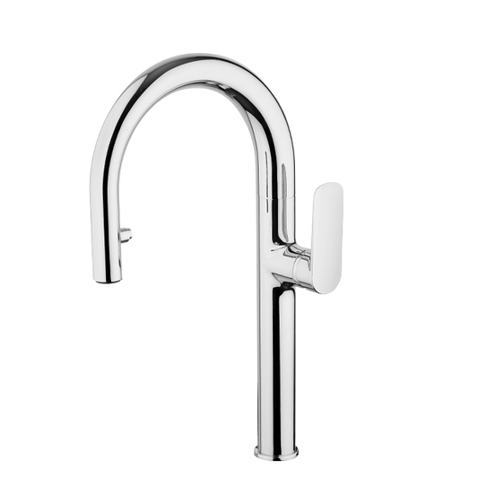 LaToscana Nove Polished Chrome Single Handle Pull-Down Sprayer Kitchen Faucet