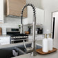 Lulani Bora Bora Brushed Nickel 1.8 GPM Single Handle 3-Function Pull-Down Spray Head 360 Swivel Spout Faucet With Baseplate