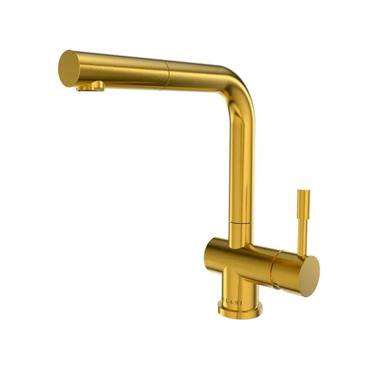 Lulani Nassau Brushed Gold Stainless Steel PVD Finish 1.8 GPM 1-Handle Pull-Out Swivel Faucet With Baseplate