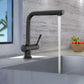 Lulani Nassau Gun Metal Stainless Steel PVD Finish 1.8 GPM 1-Handle Pull-Out Swivel Faucet With Baseplate