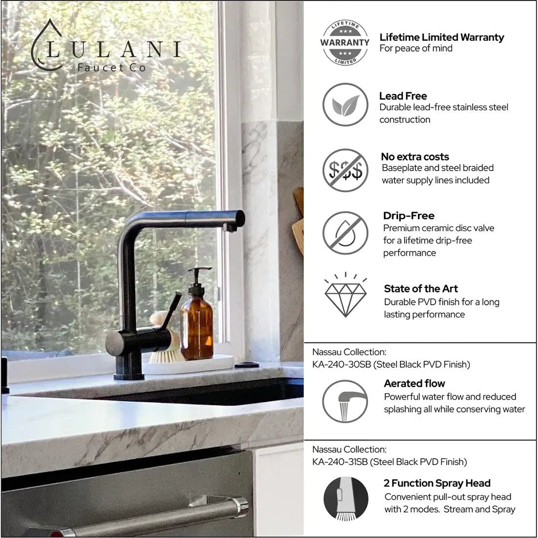 Lulani Nassau Steel Black PVD Finish 1.8 GPM 1-Handle Pull-Out Swivel Faucet With Baseplate