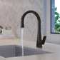 Lulani Santorini Gun Metal Stainless Steel 1.8 GPM 360 Degree Swivel Spout Pull-Down Faucet
